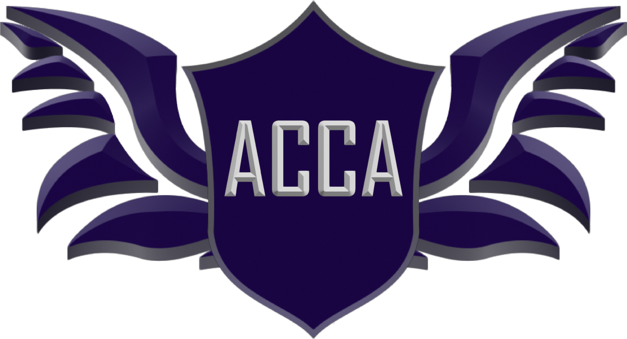 Cybersecurity Academy In Pakistan Apprise Cyber