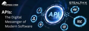 API Assessment | Apprise Cyber