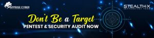 Importance of Security Audit and Pentest