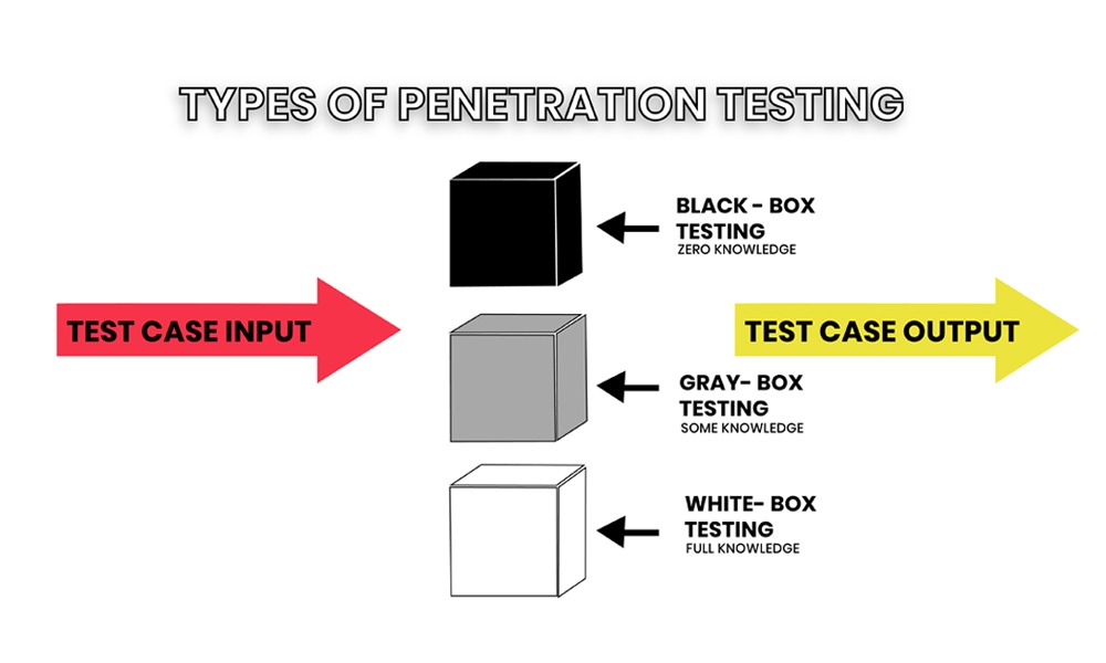 Types of Penetration Testing