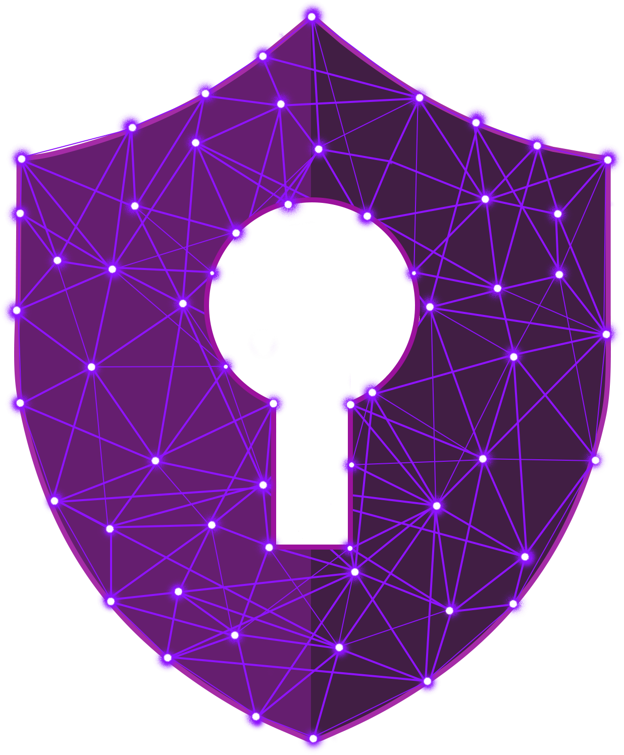 Cybersecurity Shield